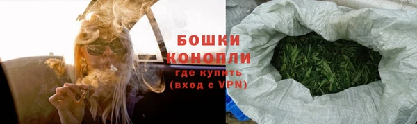 индика Балабаново