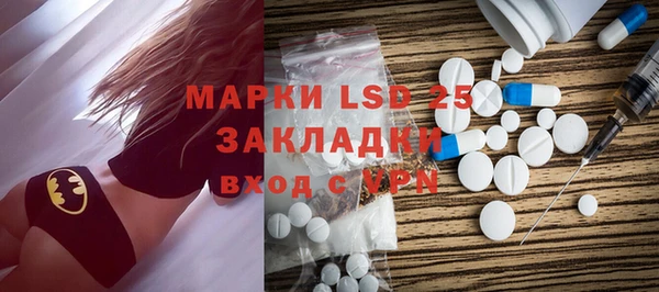 индика Балабаново
