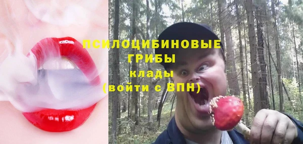 кокс Баксан