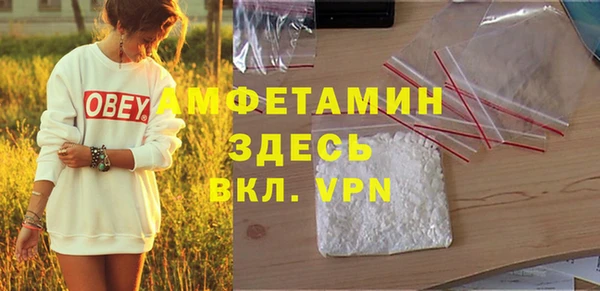 индика Балабаново