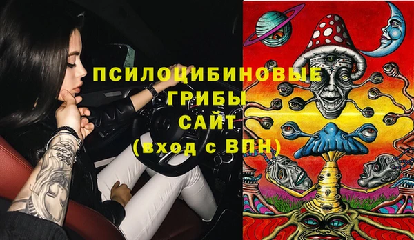 индика Балабаново