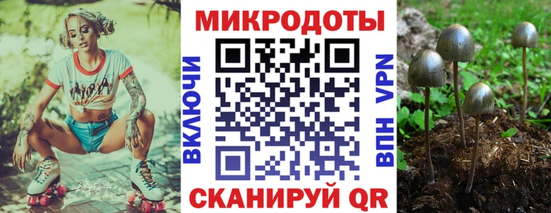 Галлюциногенные грибы Magic Shrooms  Заволжье 